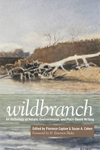 Wildbranch
